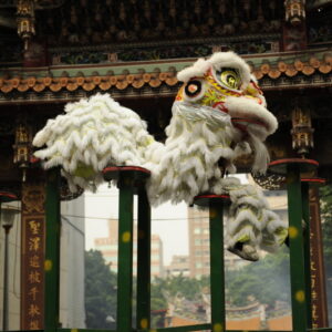 成人日光龍訓練班